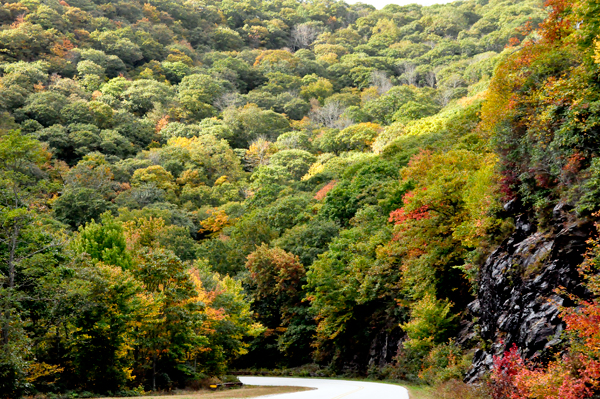 fall colors on The Blue Ridge Parkway